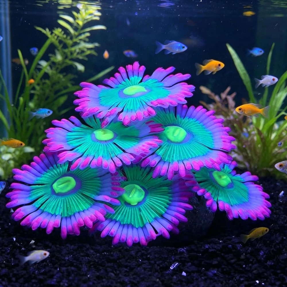 Marine Aquarium All In One - Decoraciones Luminosas para Acuarios, Plantas Artificiales