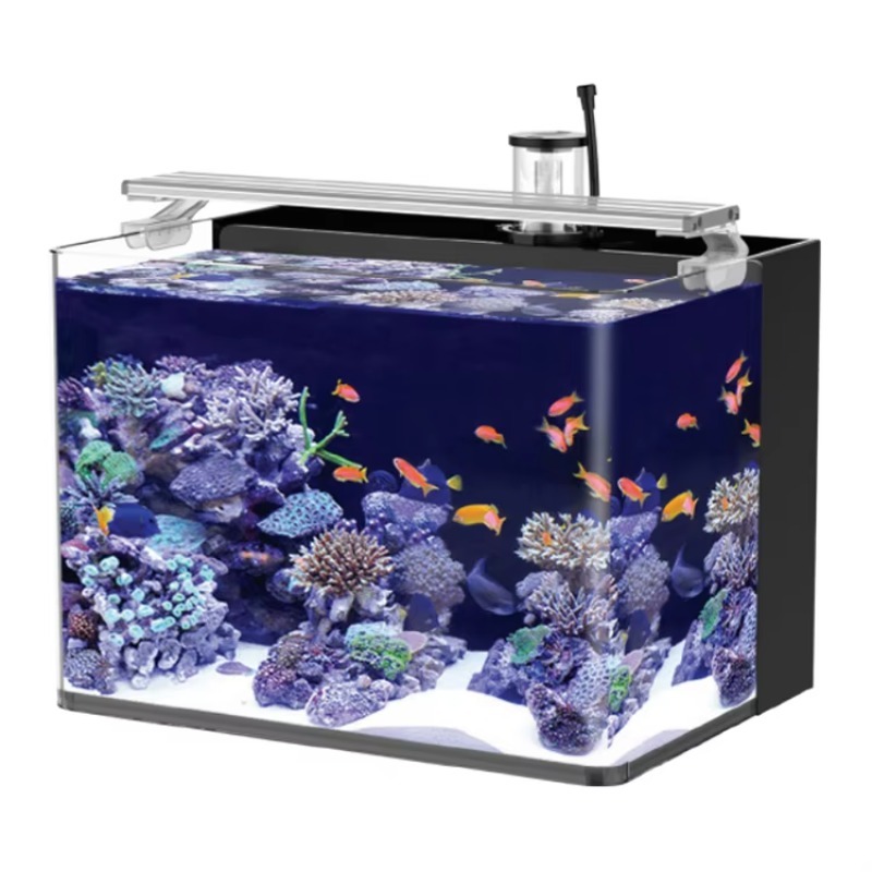 Marine Aquarium All In One - Acuario Curvo de Agua Salada para