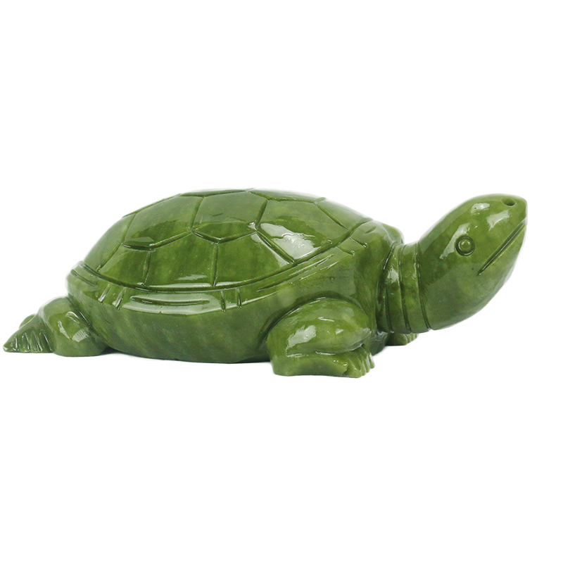 Jade Natural/escultura de tort - Marine Aquarium All In One reseña y precio