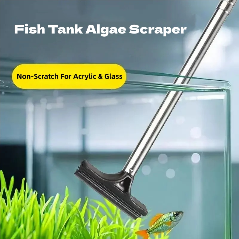 Raspador Telescópico de Algas  - Marine Aquarium Glass Scraper reseña y precio