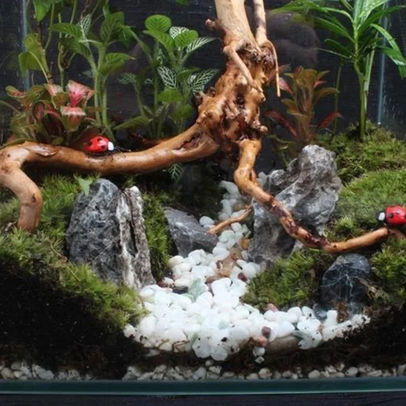 Tronco de árbol Natural de mad - Marine Aquarium All In One reseña y precio