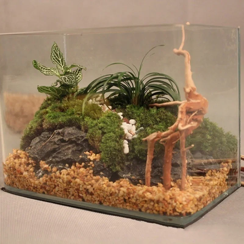 Tronco de árbol Natural de mad - Marine Aquarium All In One reseña y precio