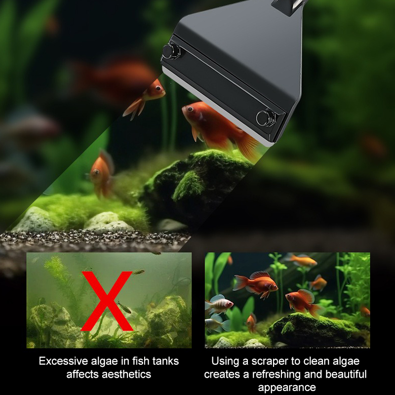 Removedor de algas para acuari - Marine Aquarium Glass Scraper reseña y precio
