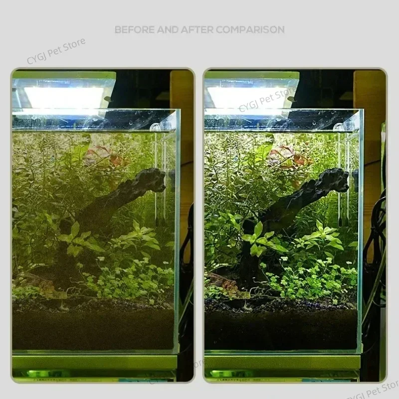 Herramienta de limpieza de pec - Marine Aquarium Glass Scraper reseña y precio