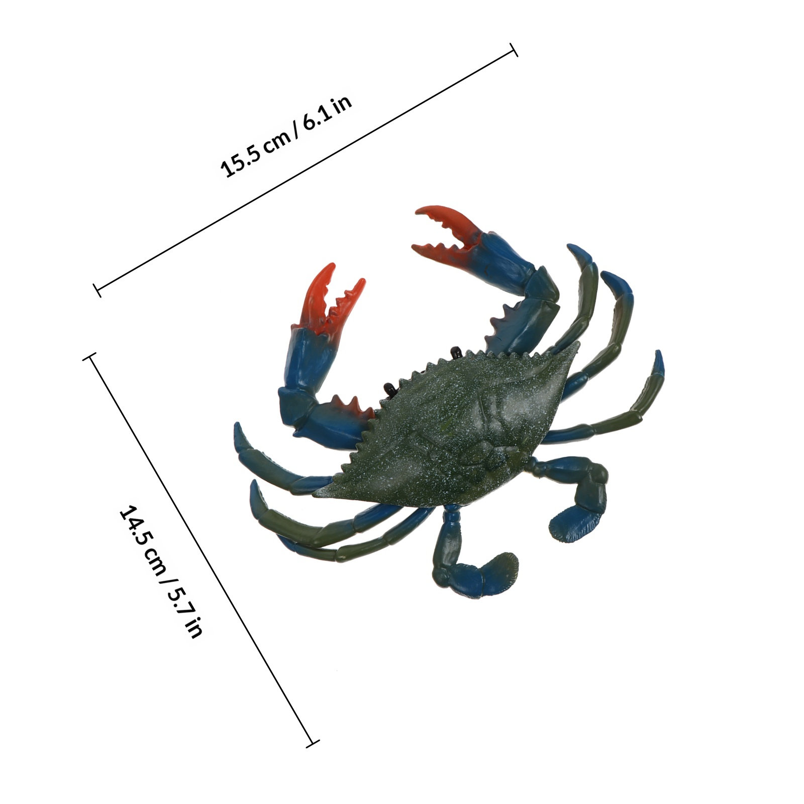 1 unidad. Adorno de escritorio - Marine Aquarium Europe reseña y precio
