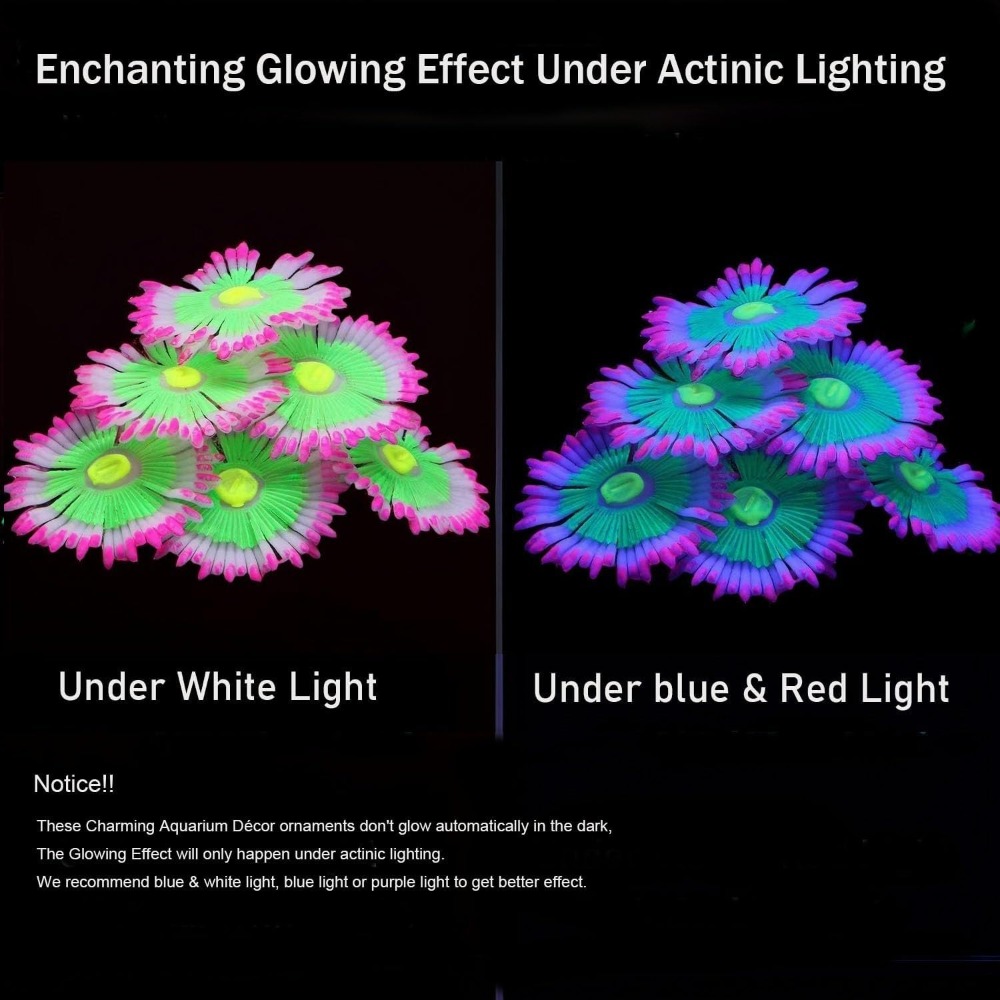 Decoraciones Luminosas para Ac - Marine Aquarium All In One reseña y precio