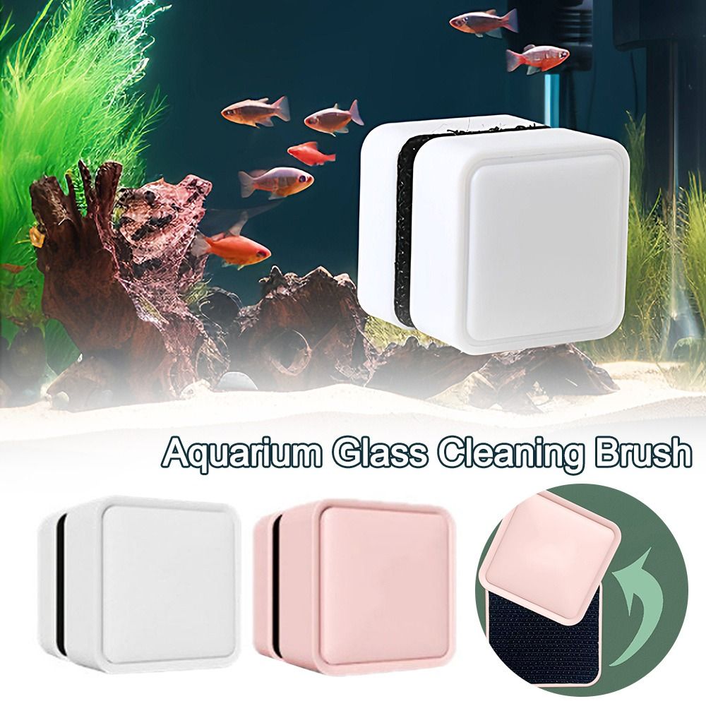 Cepillo limpiador de vidrio ma - Marine Aquarium Glass Scraper reseña y precio
