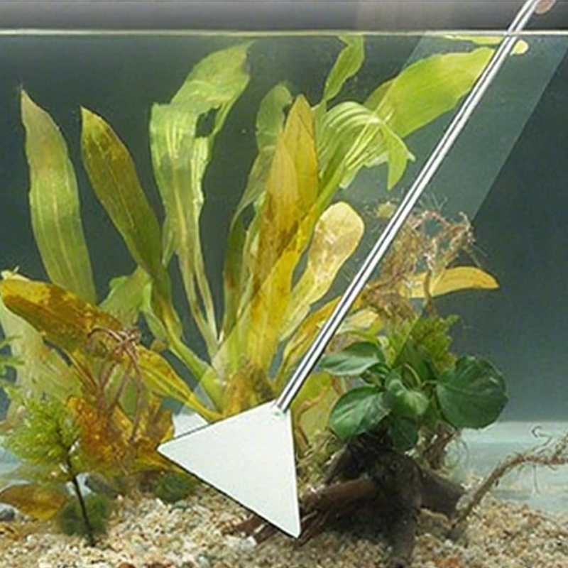 Tijeras para acuario, pinzas,  - Marine Aquarium Glass Scraper reseña y precio