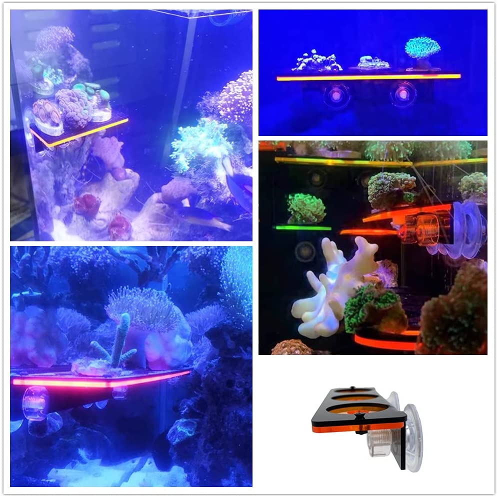 Soporte de enchufe de Coral fl - Marine Aquarium All In One reseña y precio