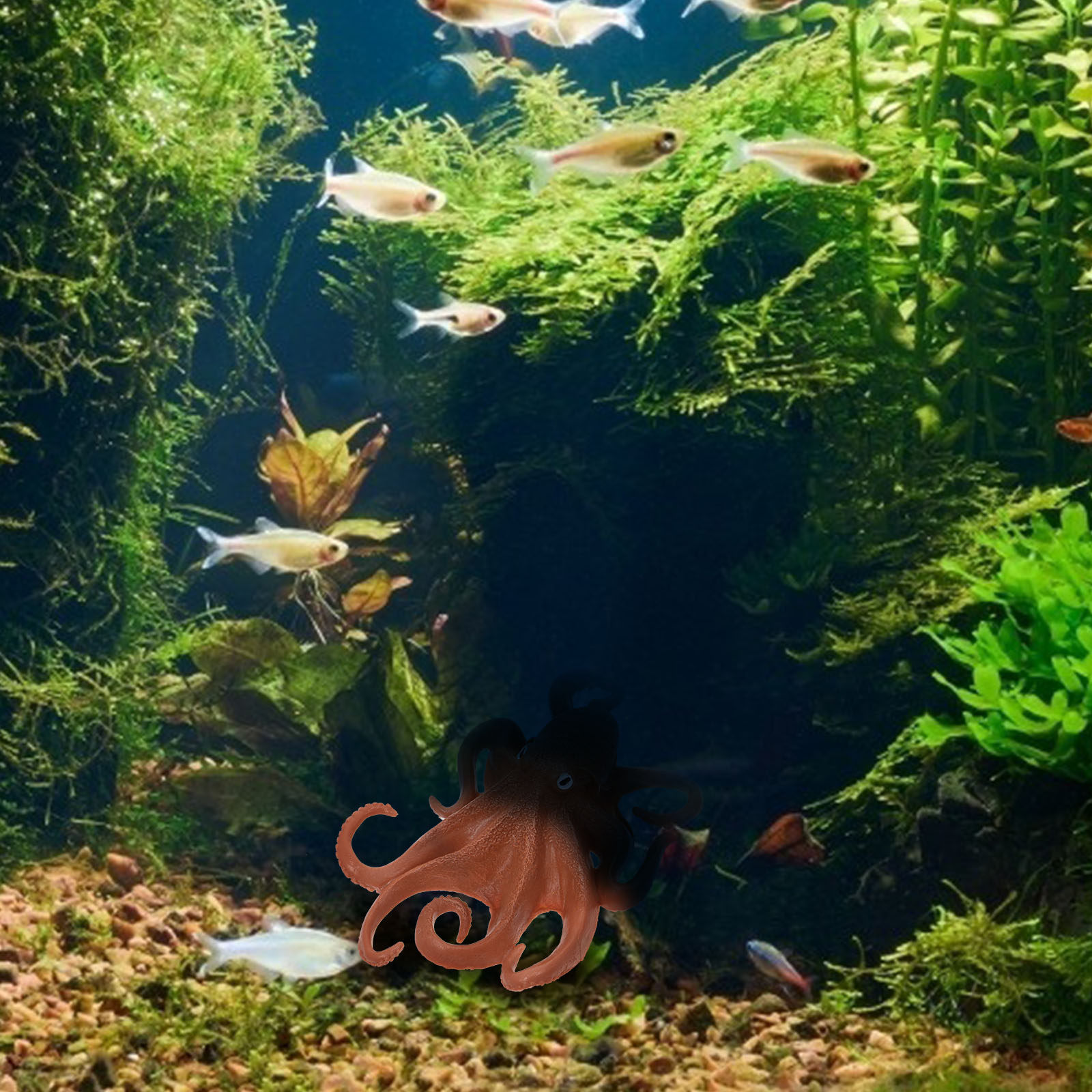 1 unidad. Figura de plástico q - Marine Aquarium Europe reseña y precio
